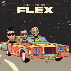 Cover of Flex