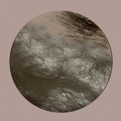 Cover of Flesh Of The Gods Remixes