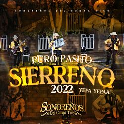 Cover of Puro Pasito Sierreño 2022