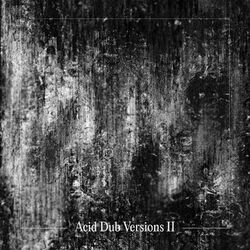 Cover of Acid Dub Versions II