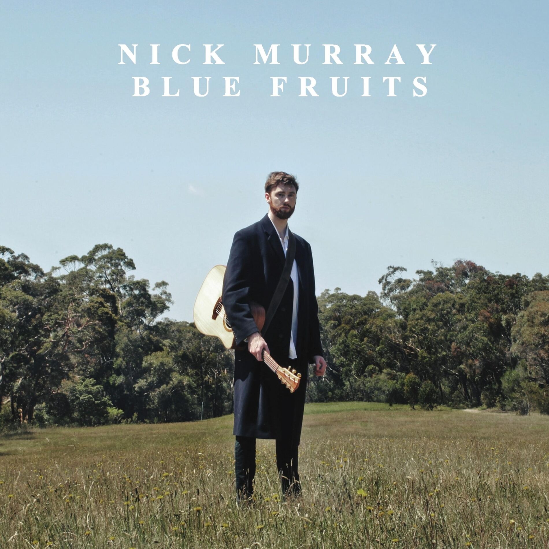 Album cover of Blue Fruits