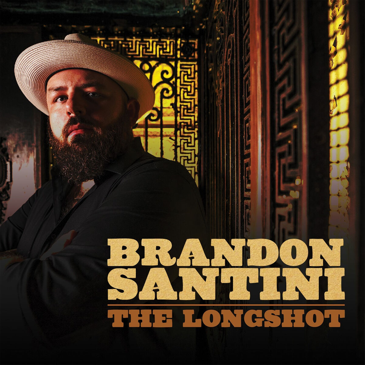 Album cover of The Longshot