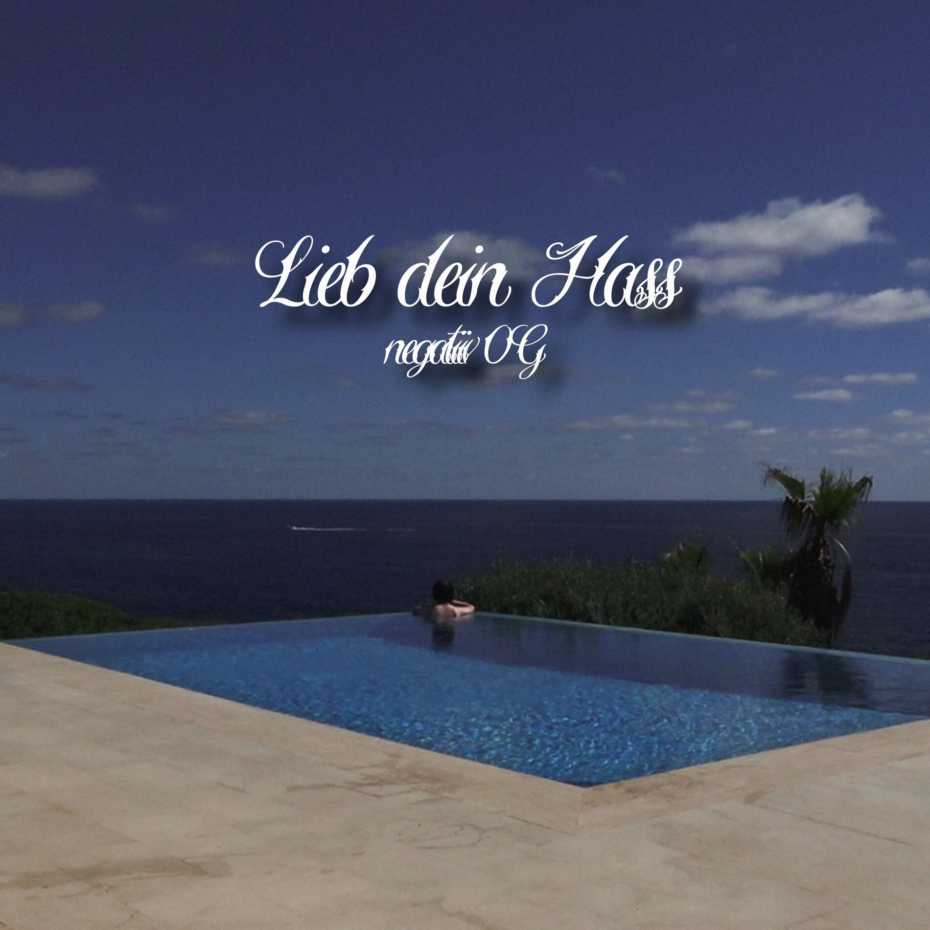Album cover of Lieb dein Hass