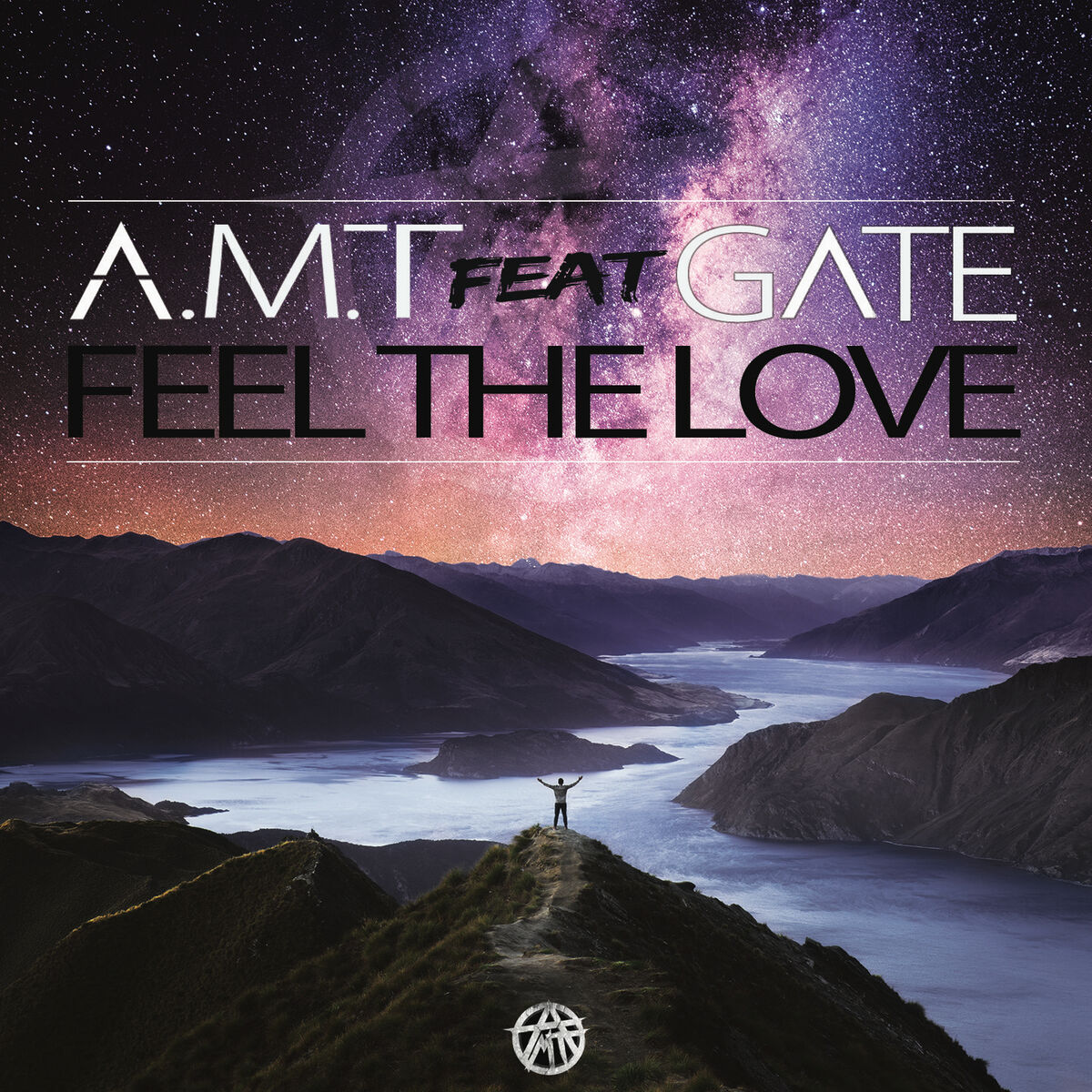 Album cover of Feel the Love
