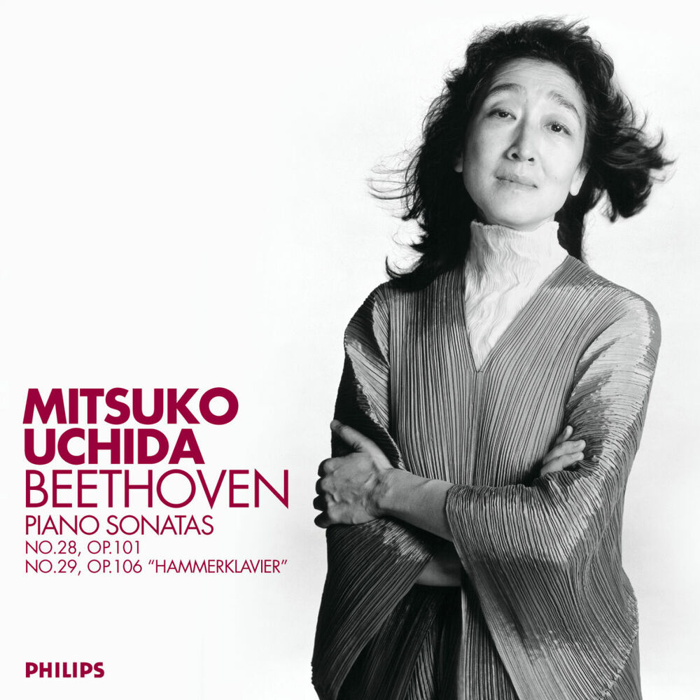 Picture of Beethoven: Piano Sonatas Nos.28 & 29