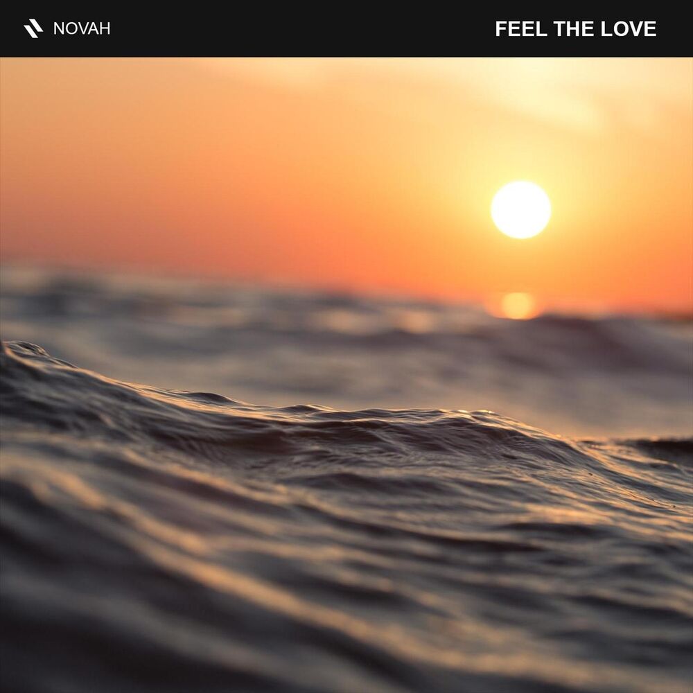 Picture of Feel the Love