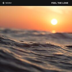 Cover of Feel the Love