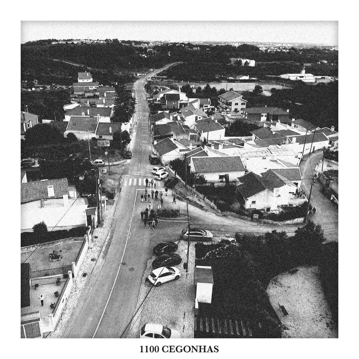 Album cover of 1100 Cegonhas