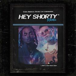 Cover of Hey Shorty (Remix)