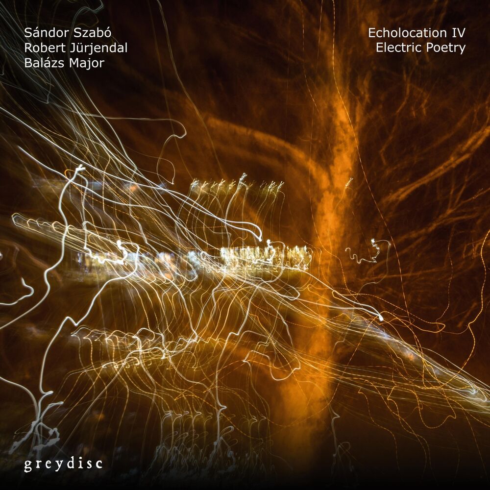 Picture of Echolocation IV