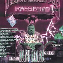 Under HAWK's Wings (Chopped & Screwed)
