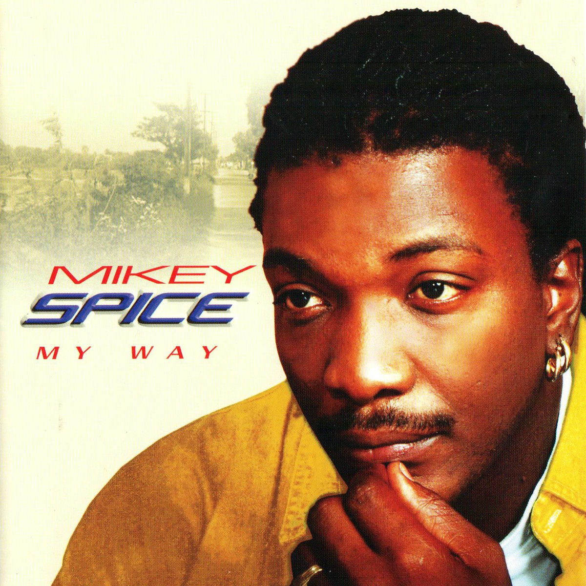 Album cover of My Way