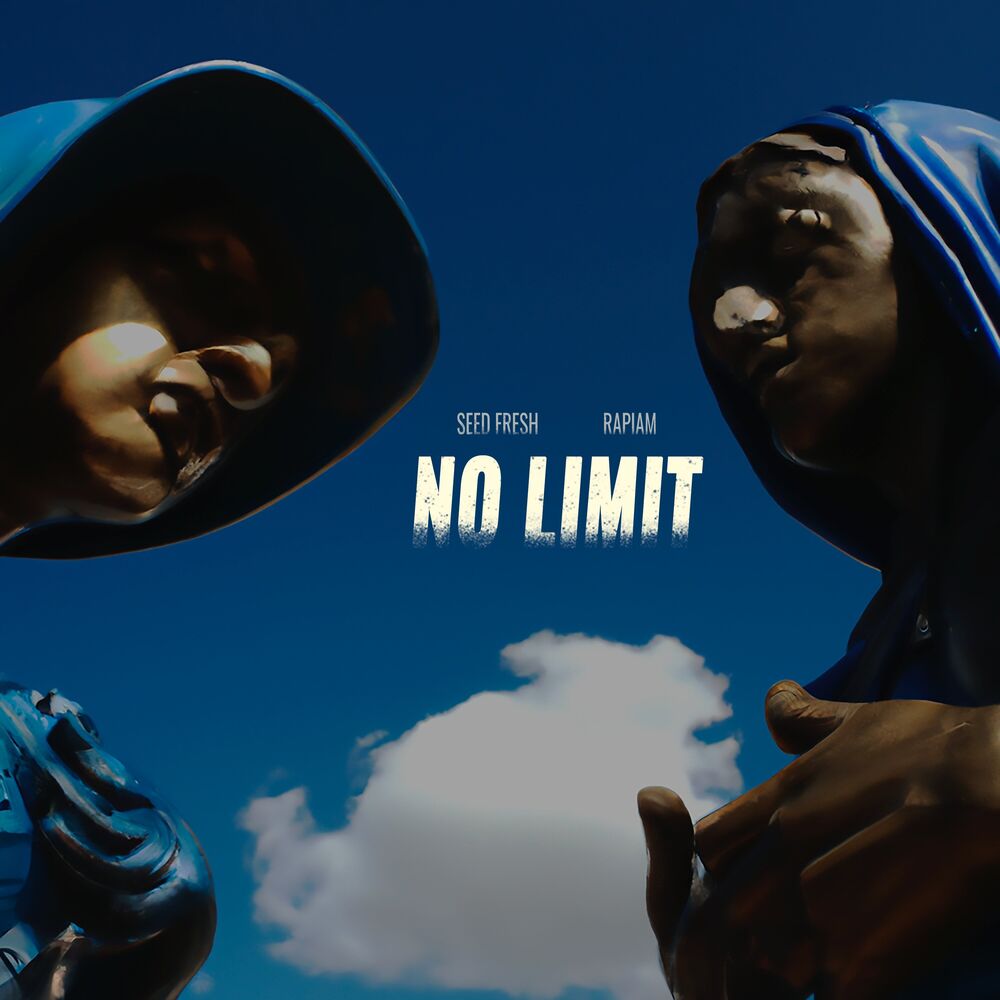 Picture of No Limit