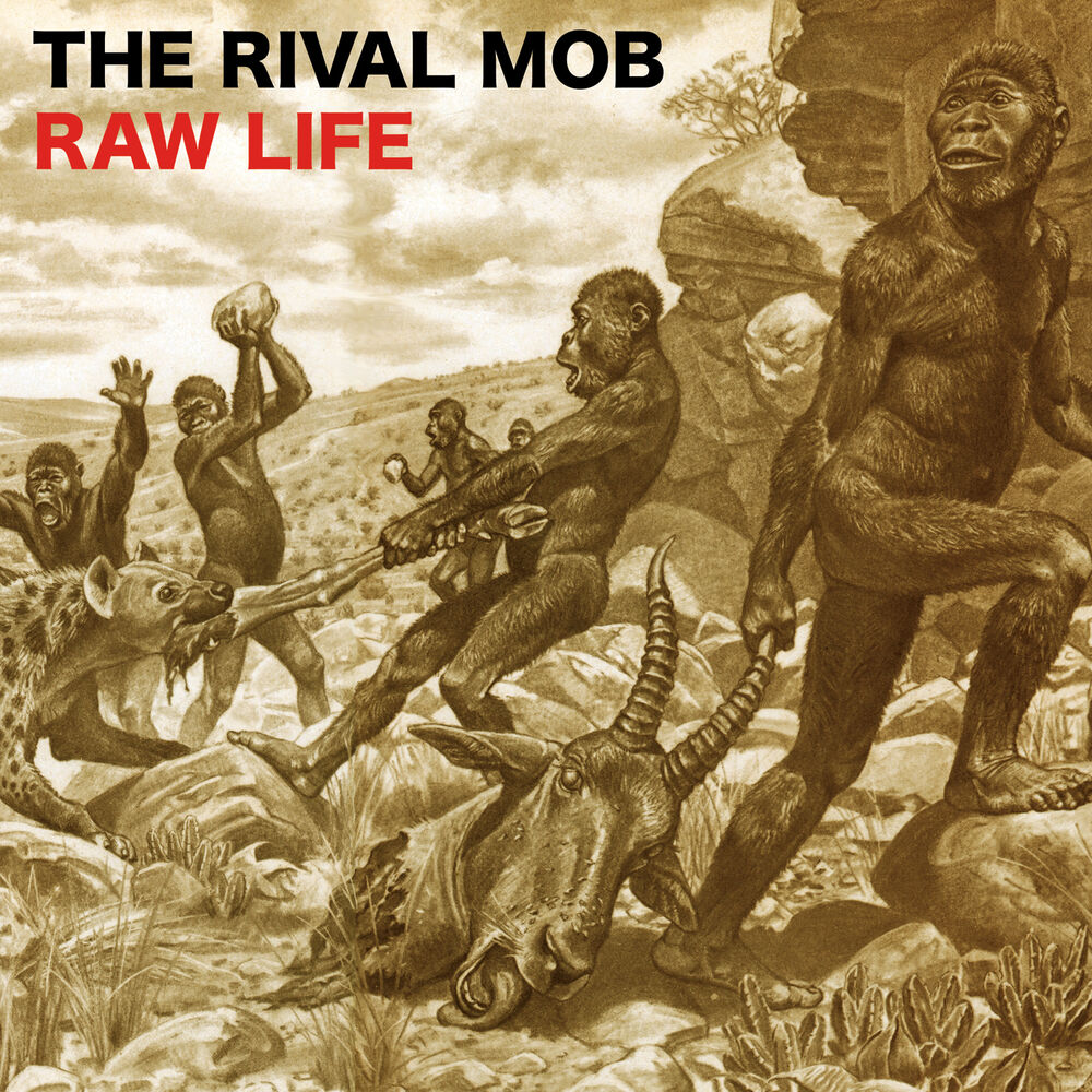 Picture of Raw Life