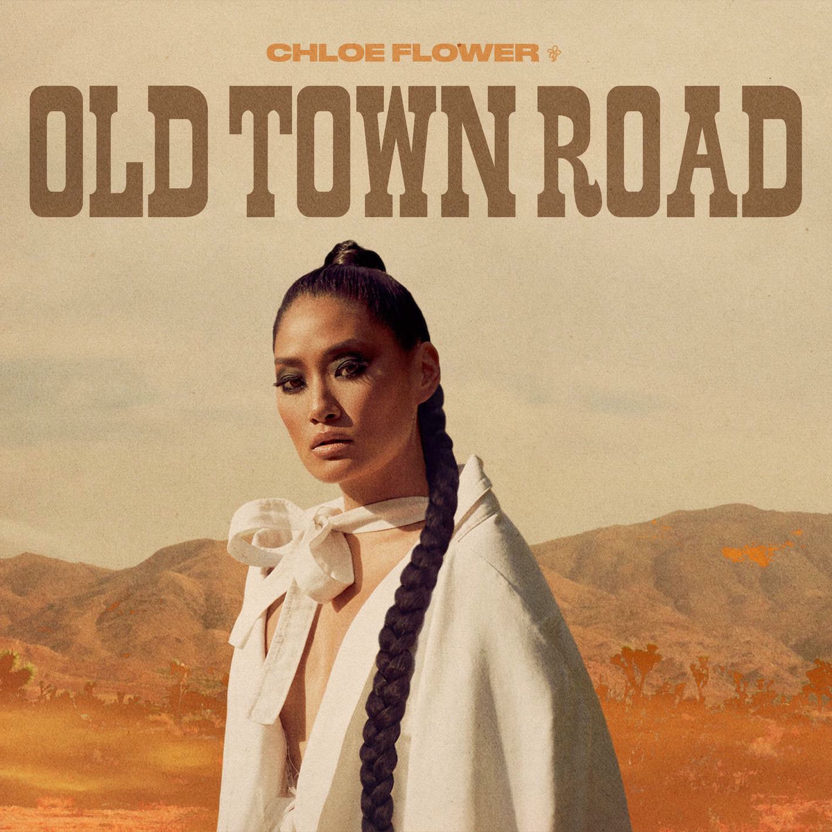 Album cover of Old Town Road