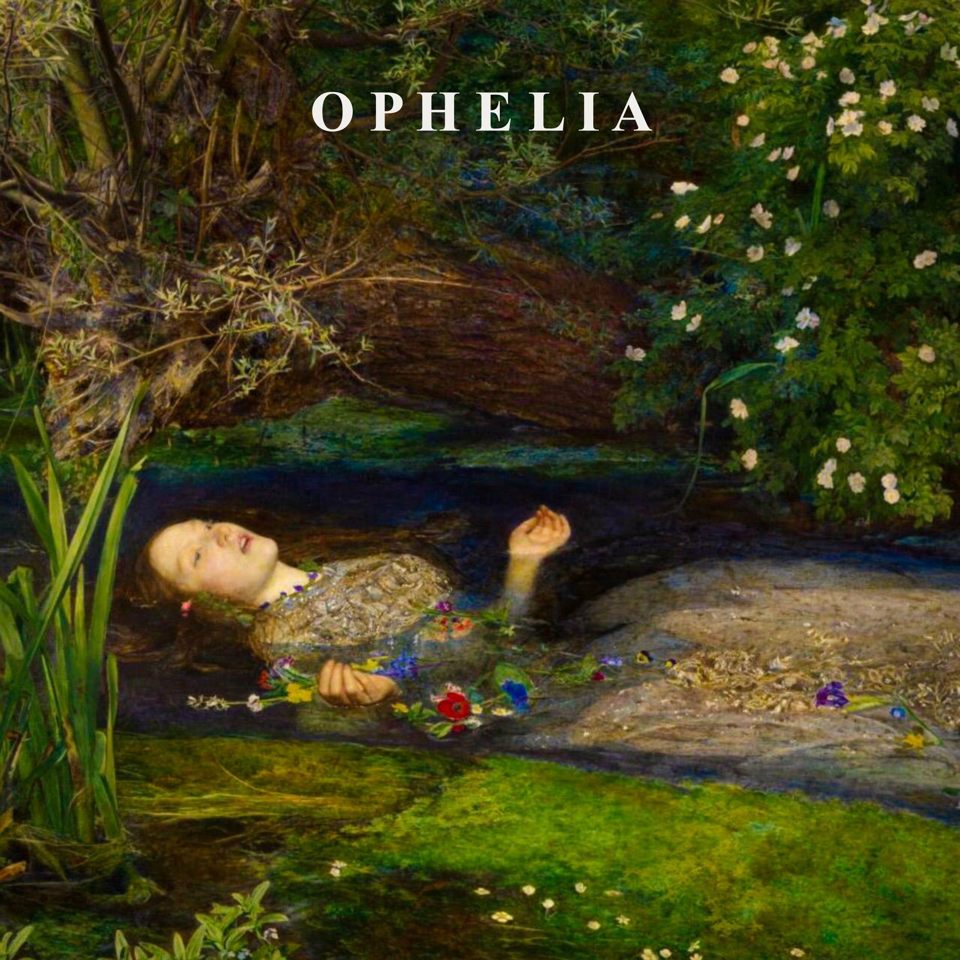 Album cover of Ophelia