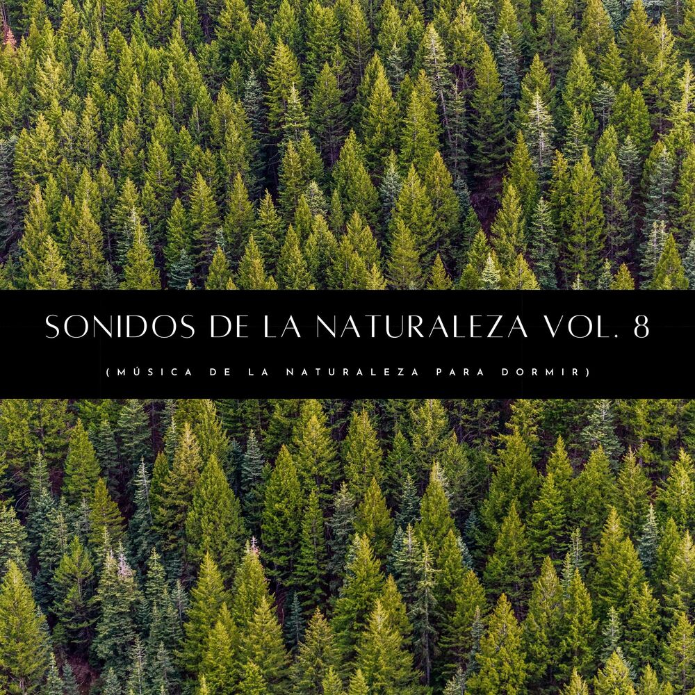 Picture of Sonidos De La Naturaleza Vol. 8 (Música De La Naturaleza Para Dormir)