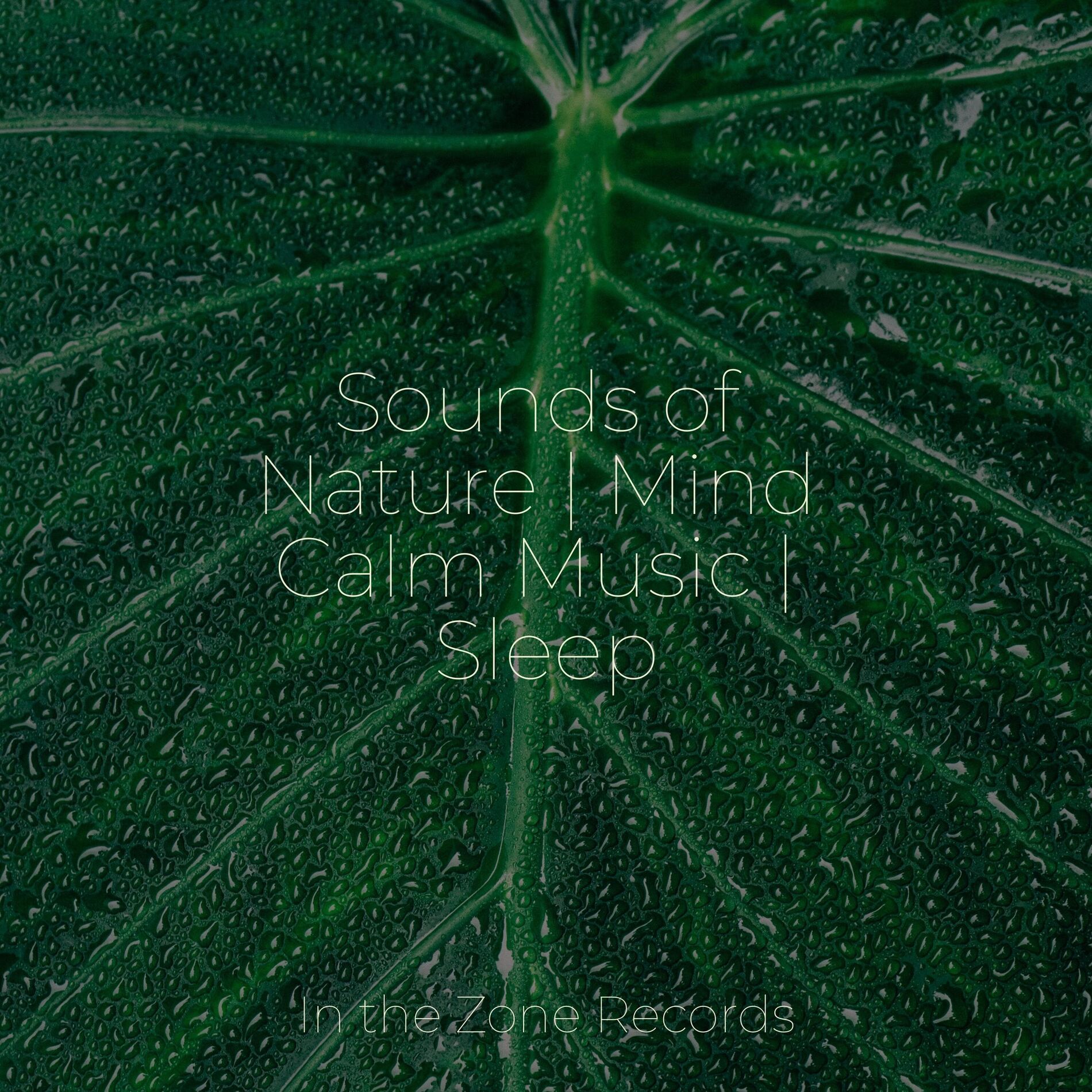 Album cover of Sounds of Nature | Mind Calm Music | Sleep
