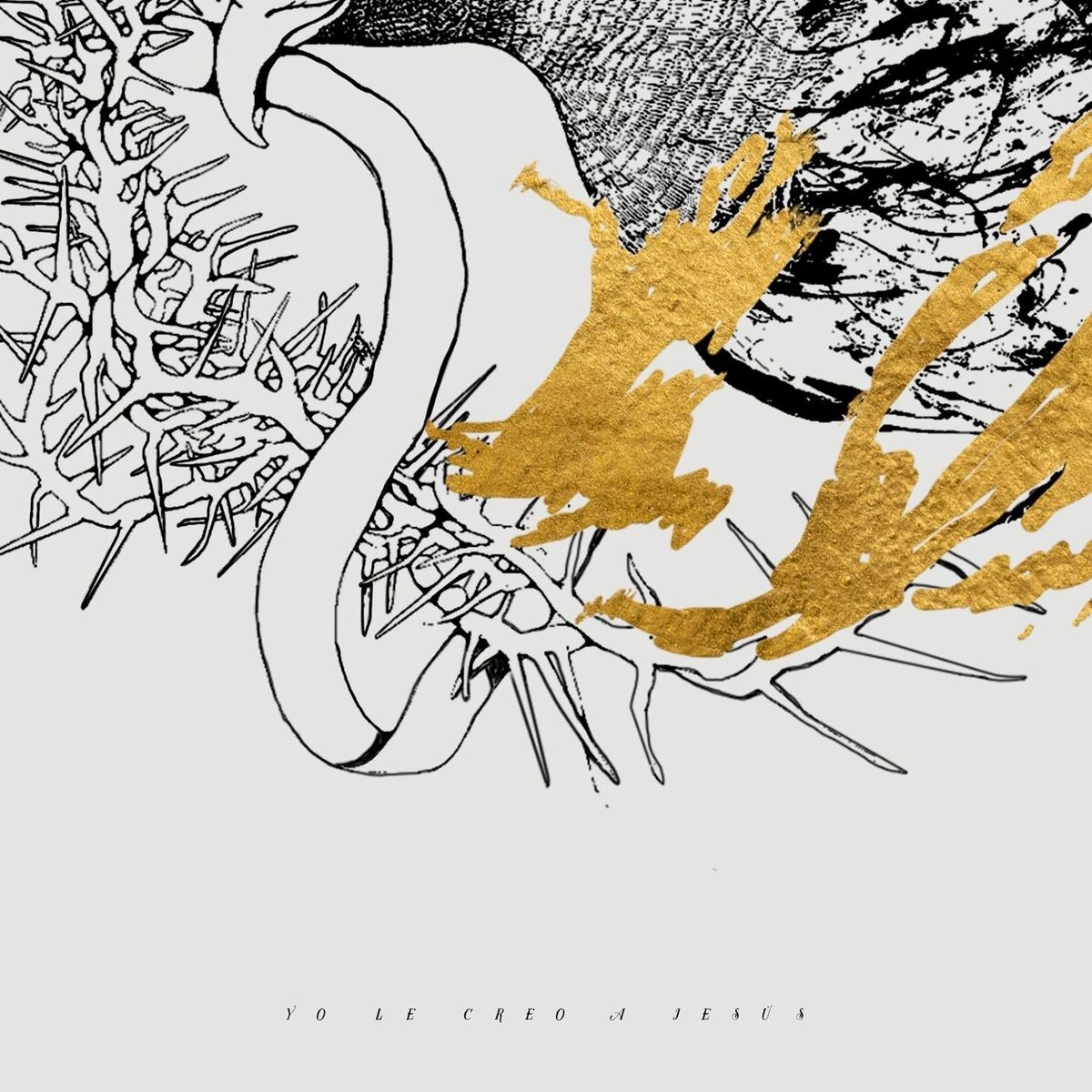 Album cover of Yo Le Creo a Jesús