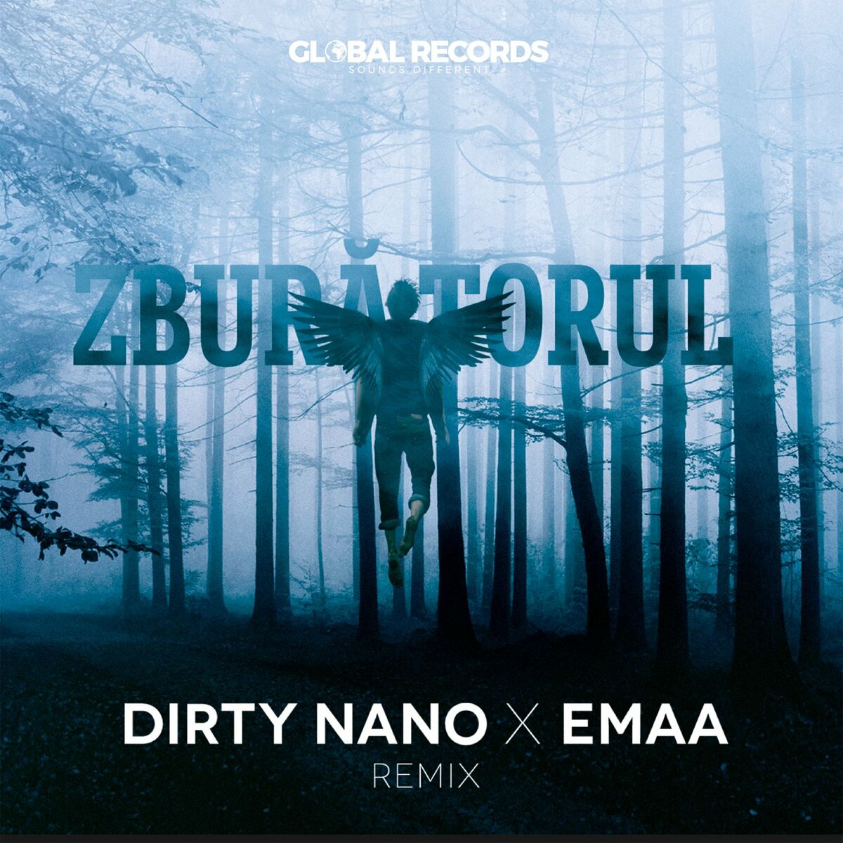 Album cover of Zburătorul