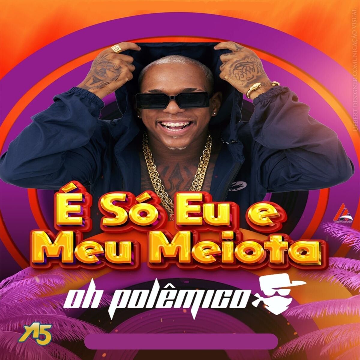 Album cover of É Só Eu e Meu Meiota