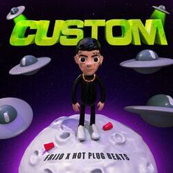 Cover of Custom