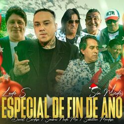 Cover of Especial de Fin de Año (Lado S) [En Vivo]