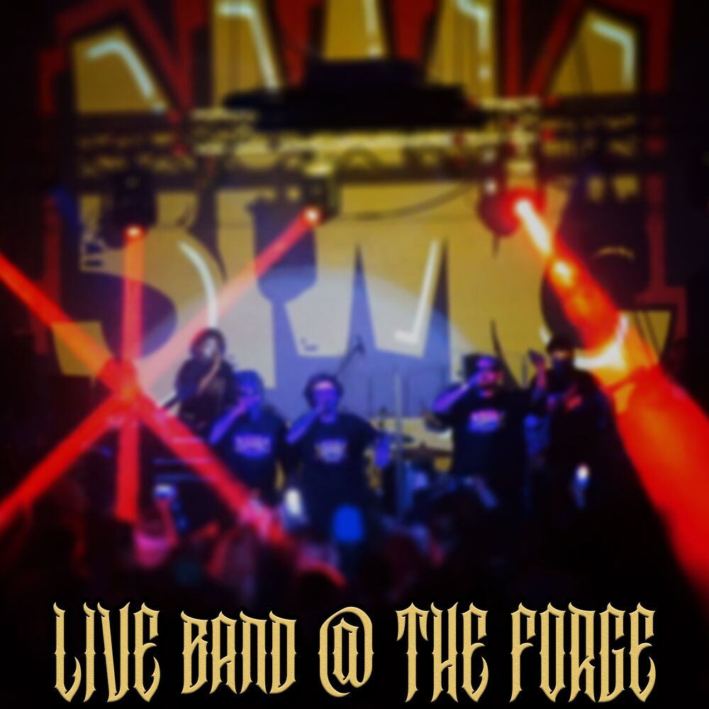 Picture of Live Band @ The Forge