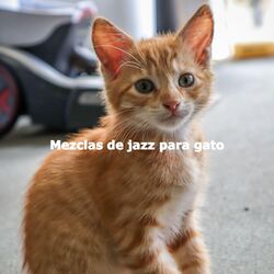 Cover of Mezclas de jazz para gato