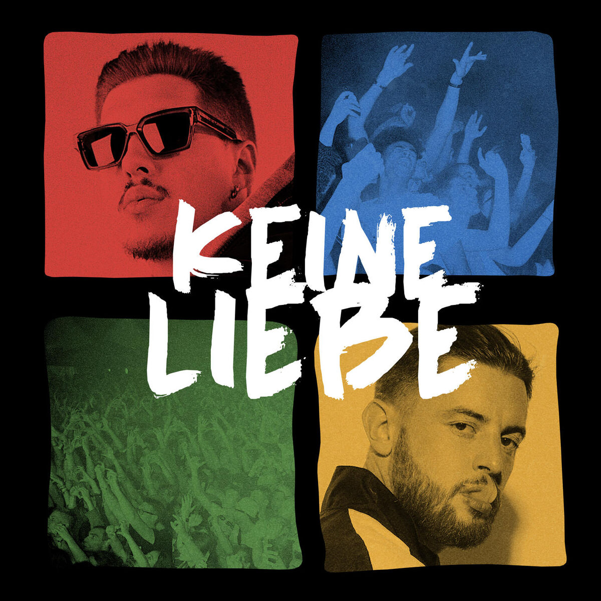 Album cover of Keine Liebe