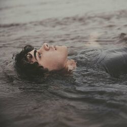 Cover of I'm trying