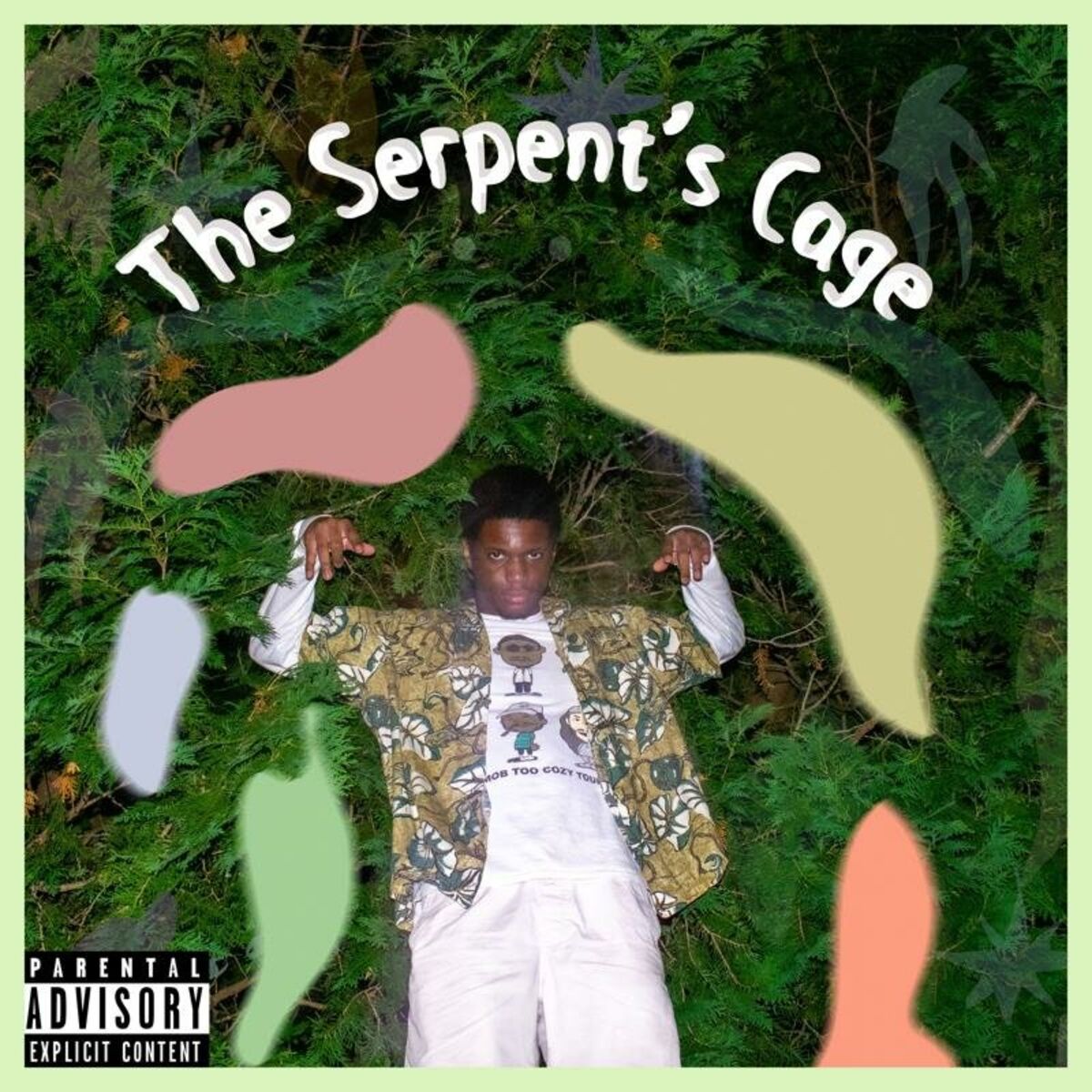 Album cover of The Serpent's Cage