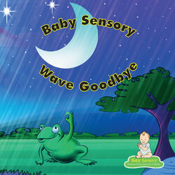 Cover of Wave Goodbye