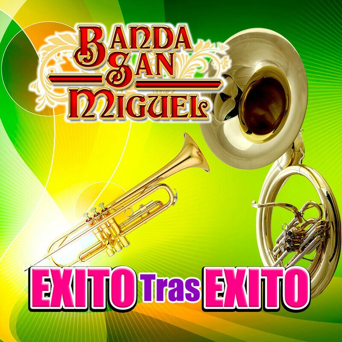 Album cover of Exito Tras Exito (Edited) (Banda)