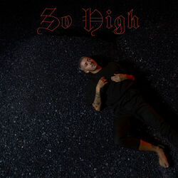 Cover of So High