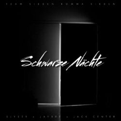 Cover of Schwarze Nächte