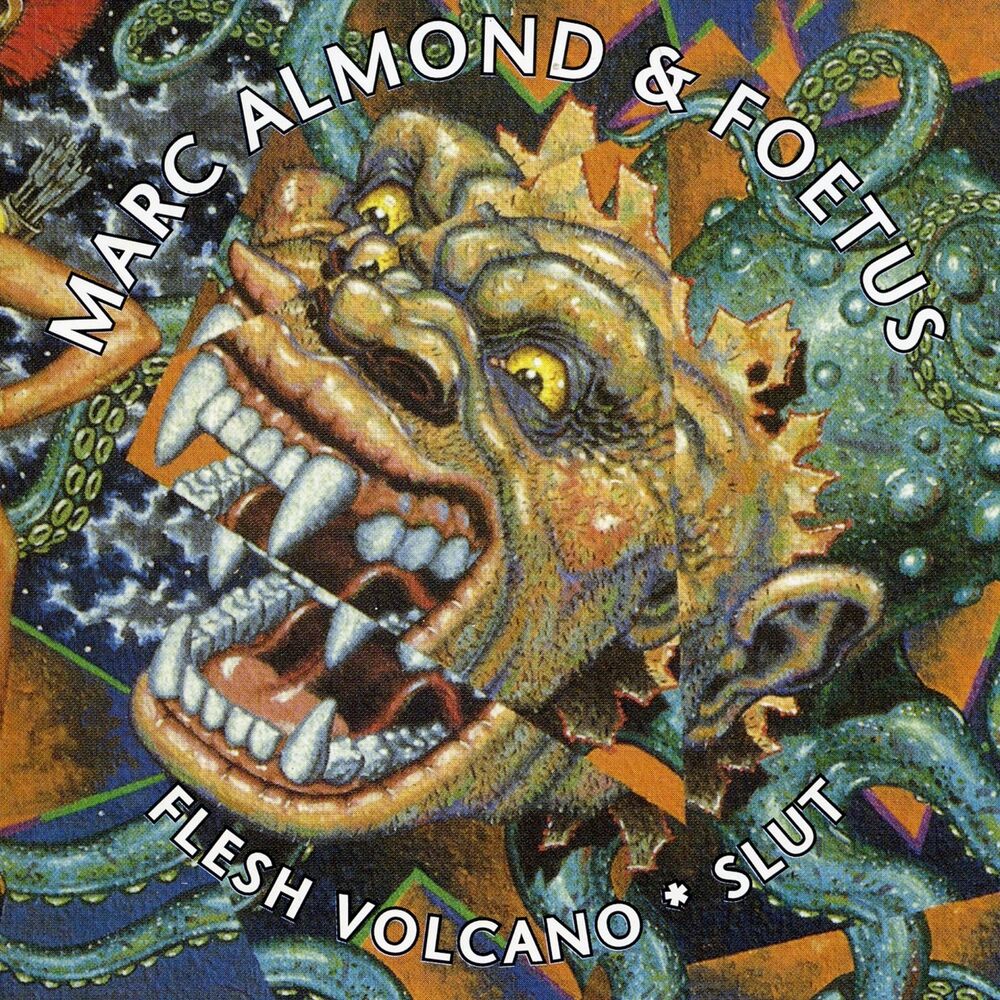 Picture of Flesh Volcano / Slut