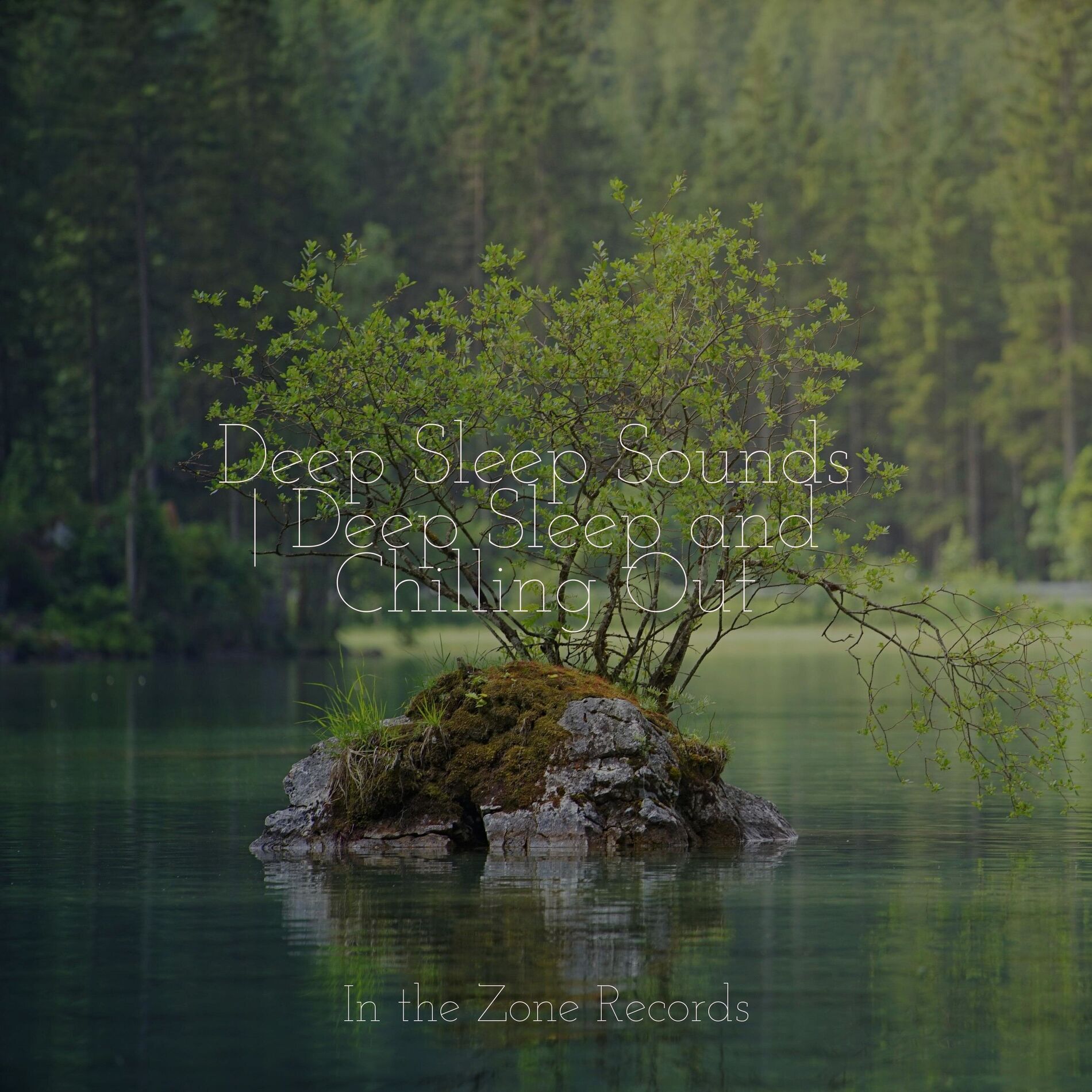 Album cover of Deep Sleep Sounds | Deep Sleep and Chilling Out