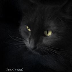Cover of 3 Am. (Sombras)