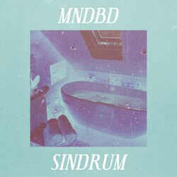 Cover of Sindrum