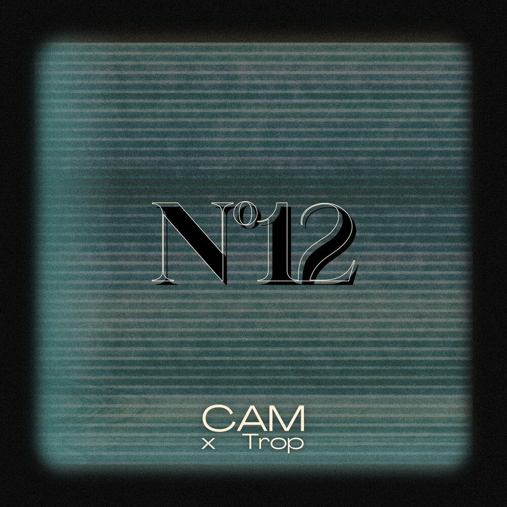 Picture of Nº12