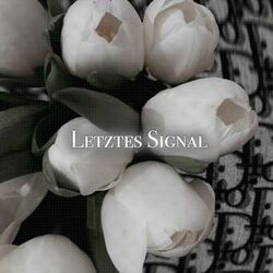 Cover of Letztes Signal