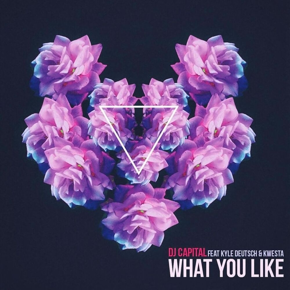 Picture of What You Like