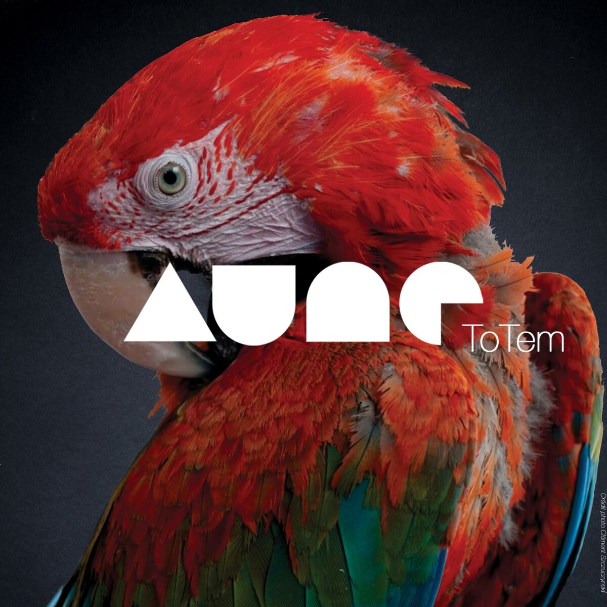 Album cover of Totem