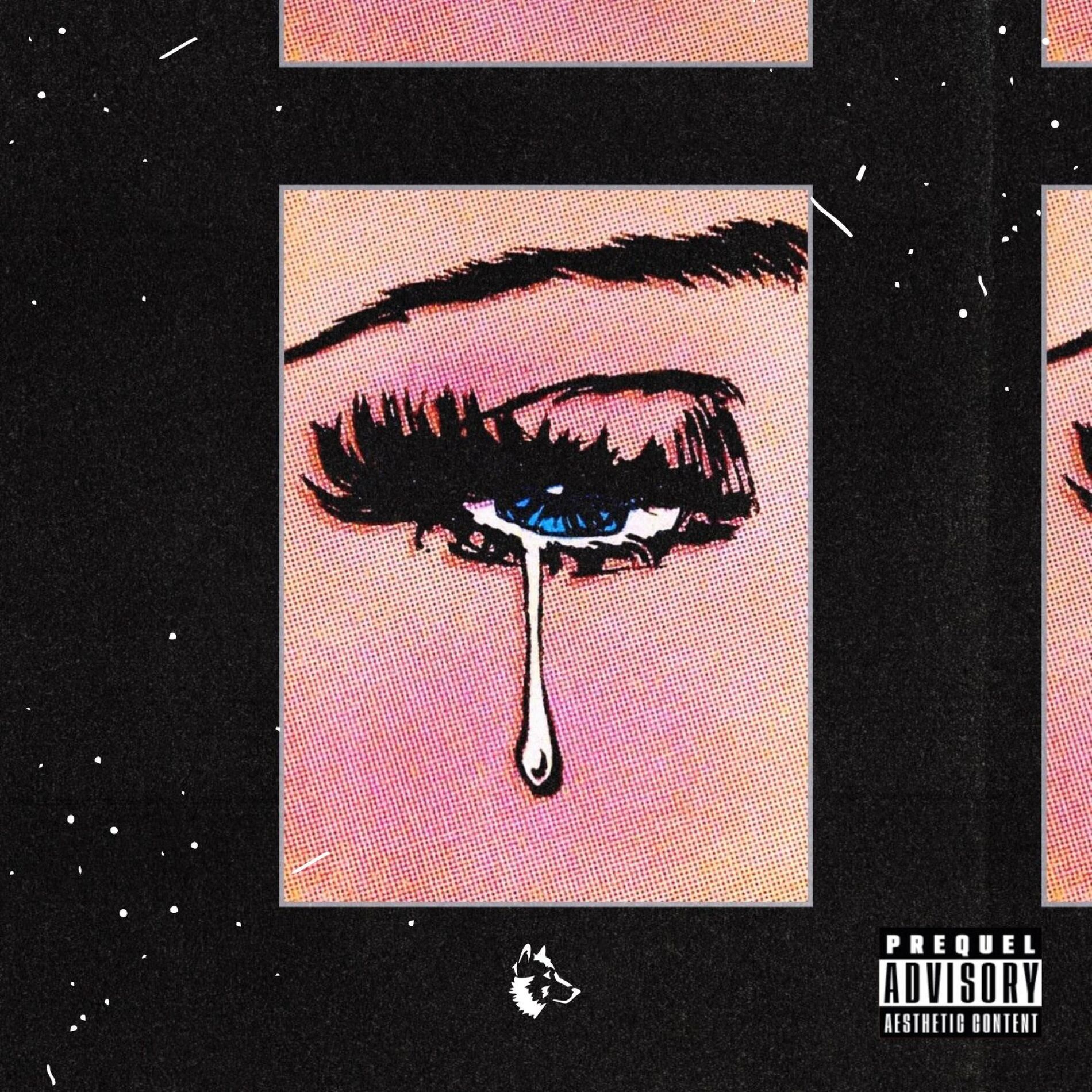 Album cover of Window Shopper.