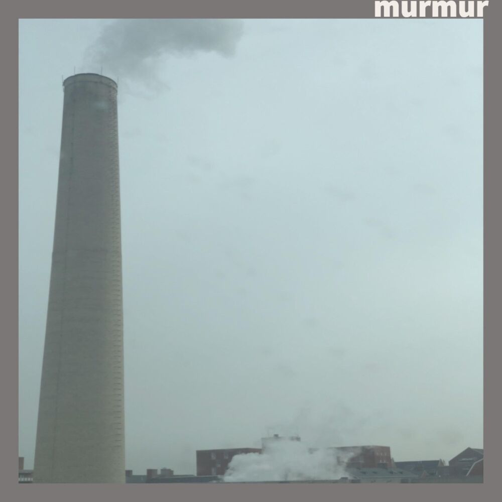 Picture of Murmur