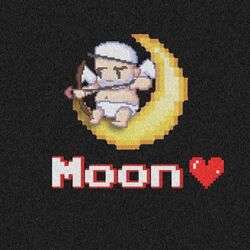 Cover of Moon