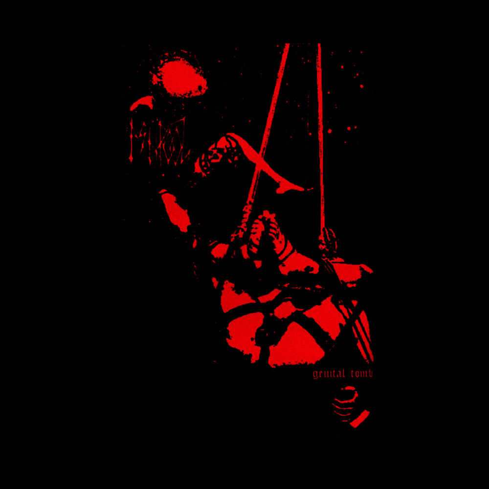 Picture of Genital Tomb