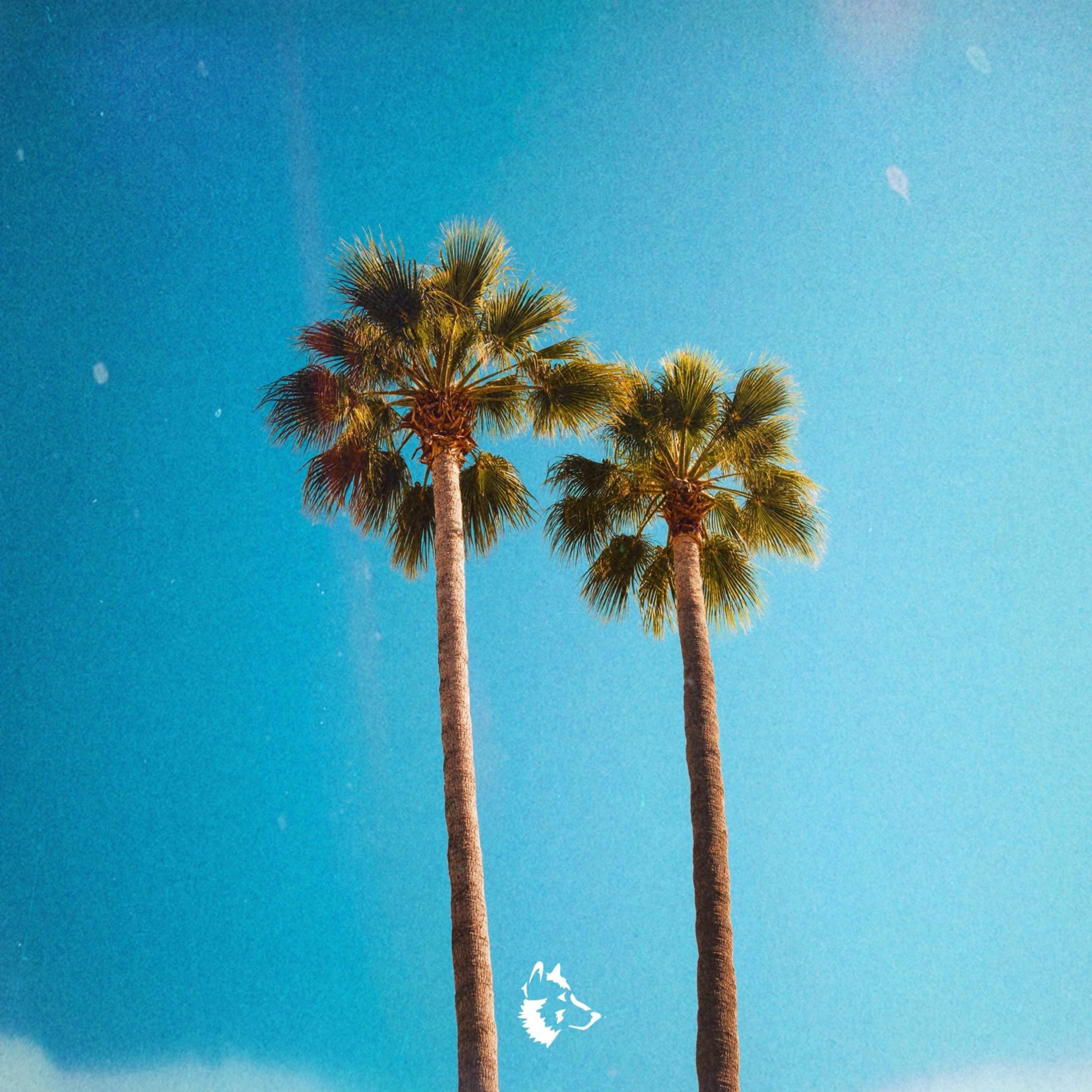 Album cover of Endless Summer