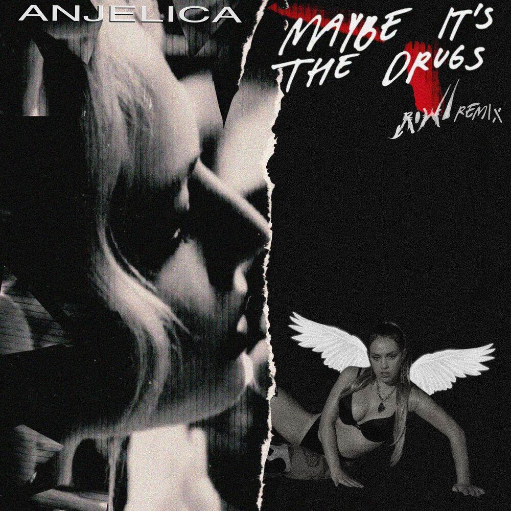 Picture of Maybe It's The Drugs (rowa remix)
